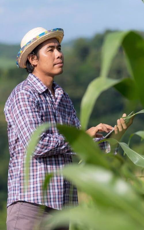 One Stop HR este partenerul tău de încredere pentru forța de muncă din agricultură One Stop HR este partenerul tău de încredere pentru forța de muncă din agricultură